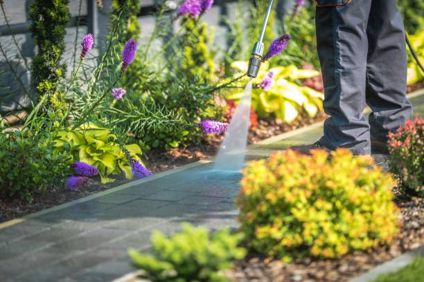 Best Patio and Deck Pressure Washing  in Hartford City, IN